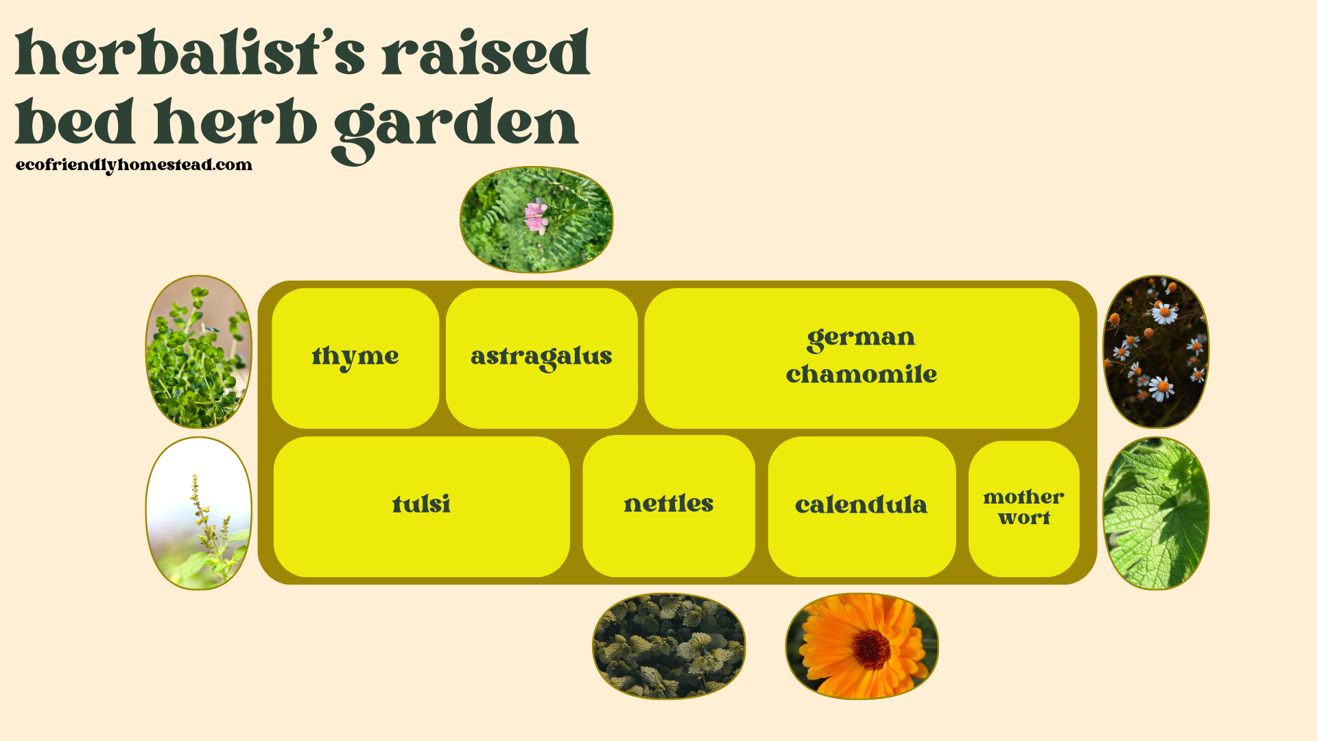 Herb Garden Ideas Full Herbal Planting Guide (based on your goals)
